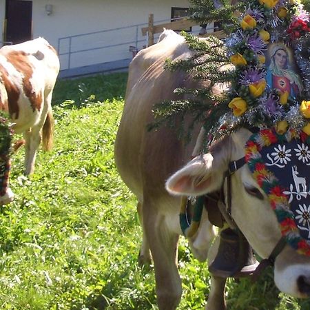 Hotel Gasthof Jaeger Zillertal Шлитерс Екстериор снимка