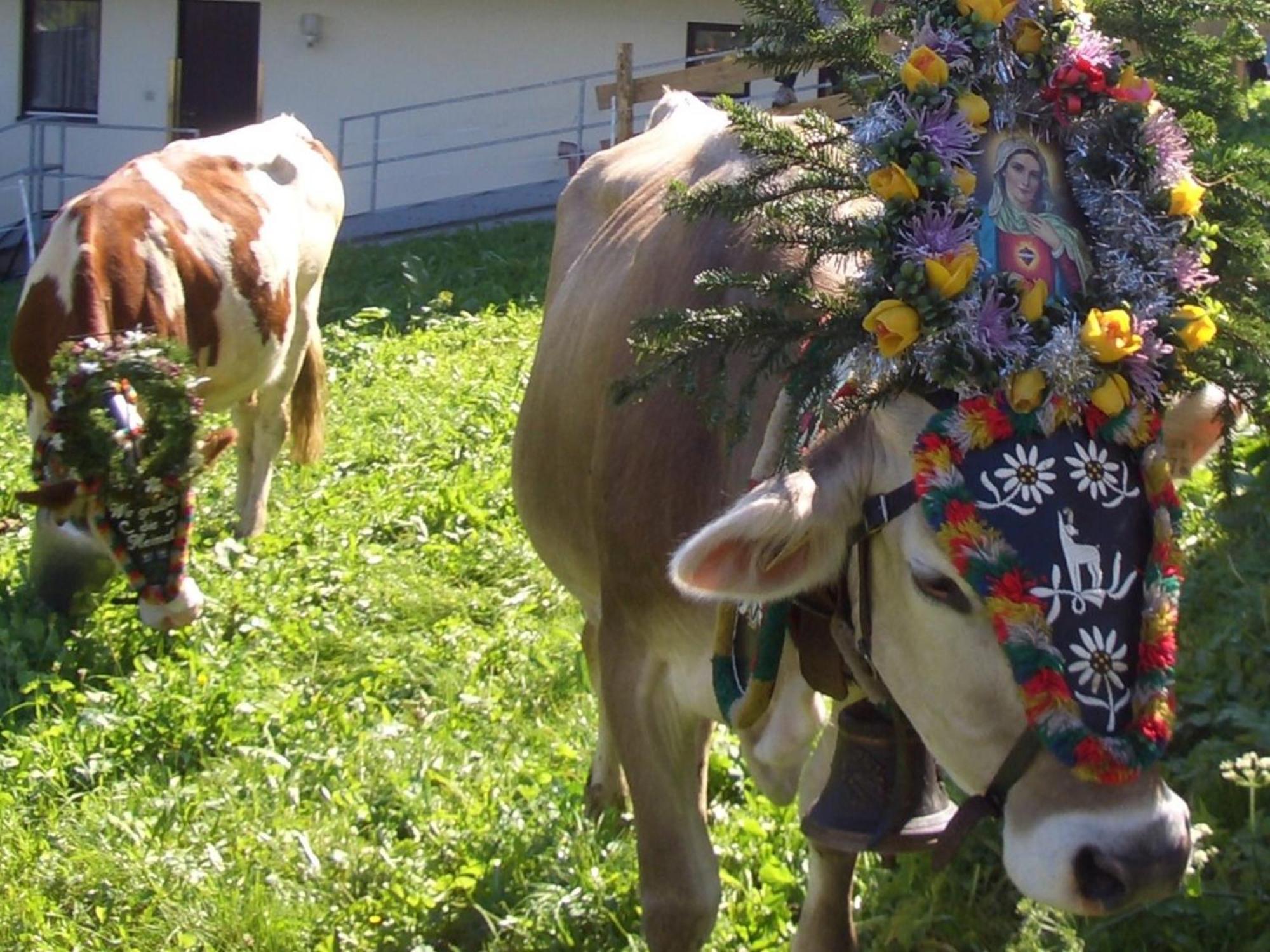 Hotel Gasthof Jaeger Zillertal Шлитерс Екстериор снимка